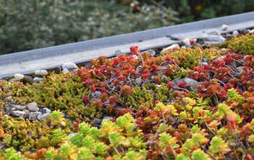 the cost of Newry green roof installation