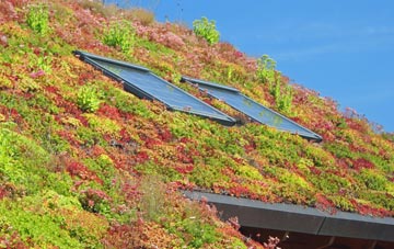 Newry living roof systems