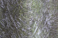 Newry fibreglass roof work